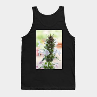 Morina longifolia  Long-leaved whorlflower Tank Top